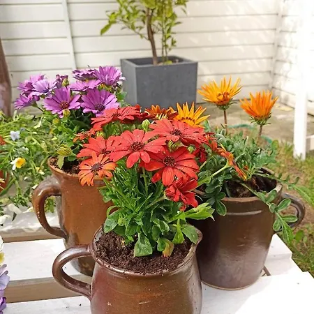 Big Blue - 2 Osobowy * Владыславово