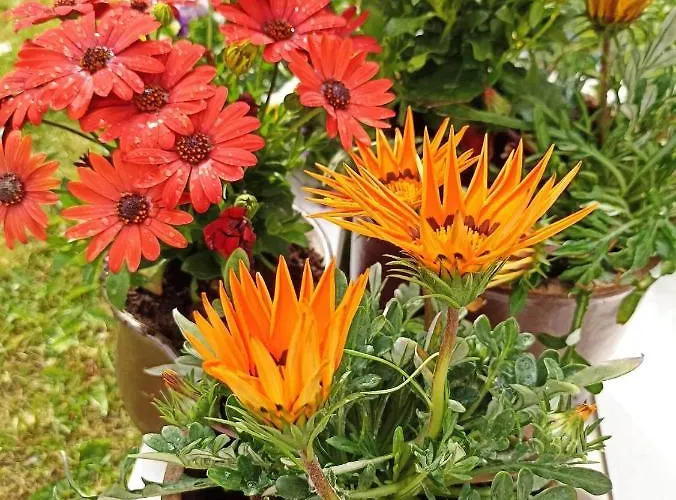 Big Blue - 2 Osobowy *