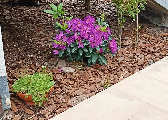 Big Blue - 2 Osobowy Władysławowo